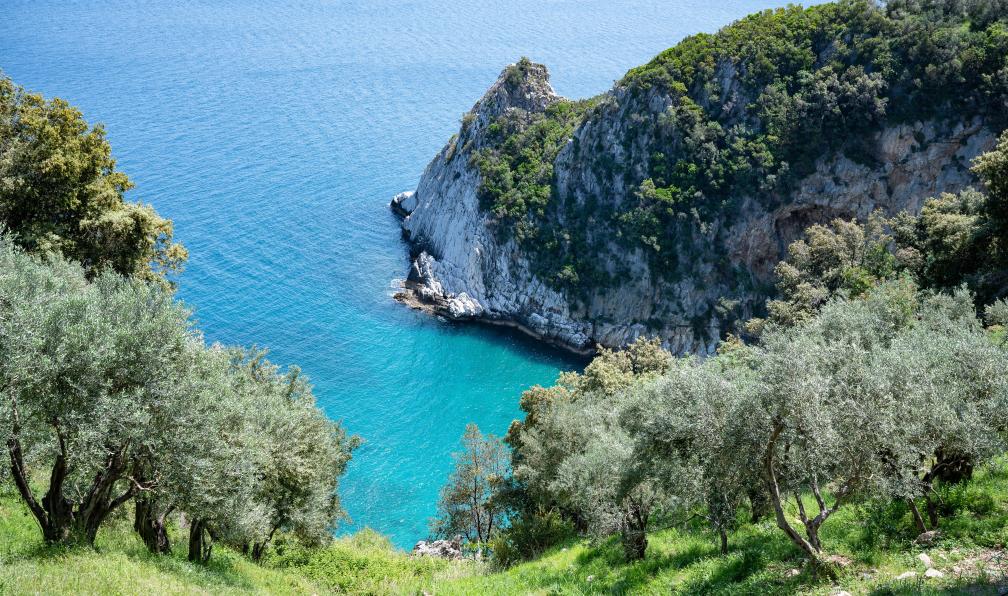 Beckemeier - Daniel - stock.adobe.com - Vue sur les oliviers regardant la mer, vers la plage de Fakrista, Pelion, Grèce - Sentiers mythiques : Métèores, Olympe et Pélion - 5