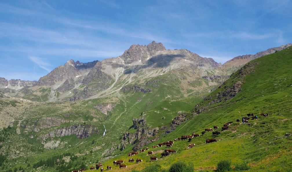 Toutain - Solveig - La pointe du Tsan depuis les alpages de Chavacour, Alpes, Italie - Alta via n°1 : Sur les chemins des Géants - 6
