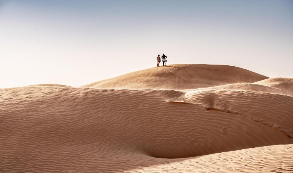 Sables et oasis du Sud