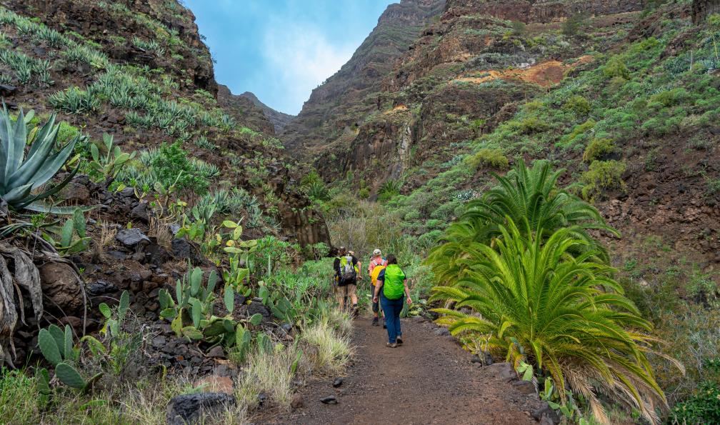 Lambert -  Frank - stock.adobe.com - Randonneurs allant à la cascade dans la vallée sauvage du Barranco de Arure près de valle Gran Rey, La Gomera, Espagne - La Gomera et La Palma - 5