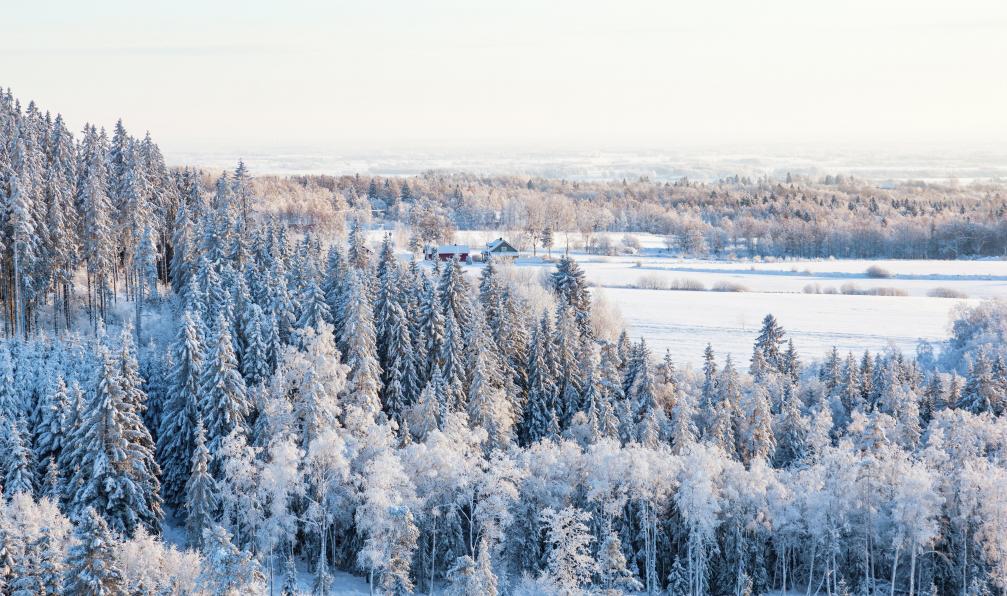 TTphoto  -  Shutterstock -  Paysage enneigé, Suède.  - Kungsleden : La voie royale à raquettes - 5