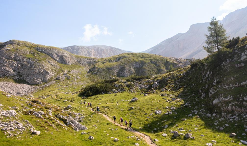 Crétois - Chloé - Col de Porta Sopra al Forno lors d'un trek dans les Dolomites, en Italie - Le meilleur de l'Alta Via delle Dolomiti n°1 - 4