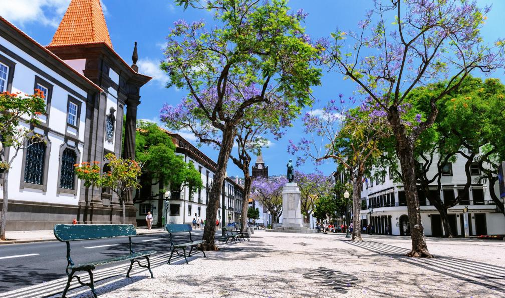 Symbiot  - Adobe stock - Centre historique de Funchal, Madère - Madère, Douceurs océanes - 4
