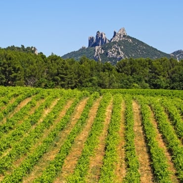 Trek - Les dentelles de Montmirail