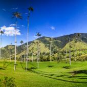 découverte bogota vallée du café et parc tayrona