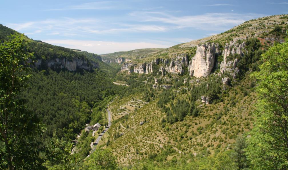 Gorges de la Jonte près de Meyrueis, M 35 Z, Lozère, Cévennes, Massif central. - Des gorges du Tarn aux Cévennes - 1