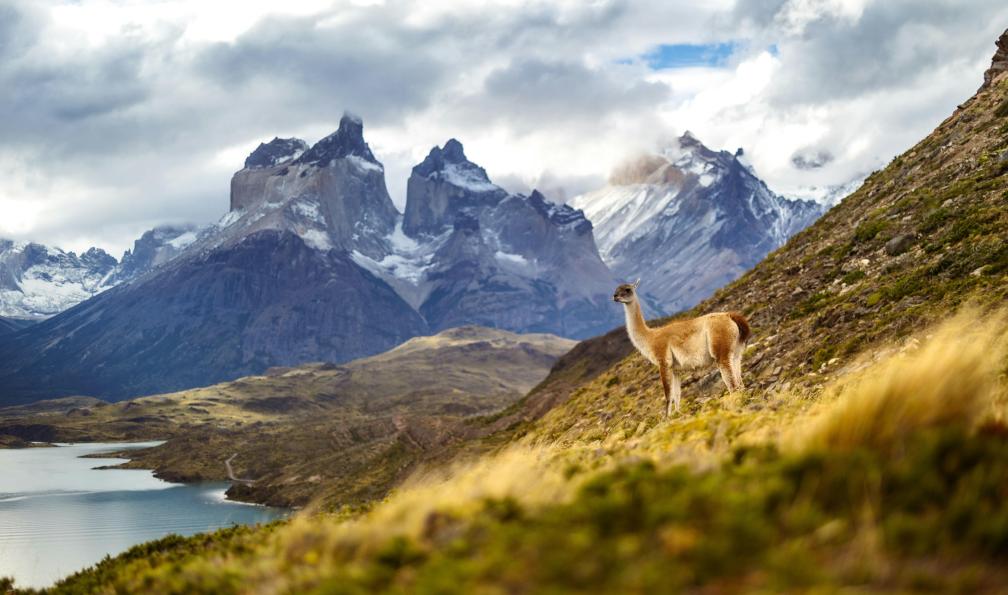 patagonie-argentine-les-incontournables-de-patagonie