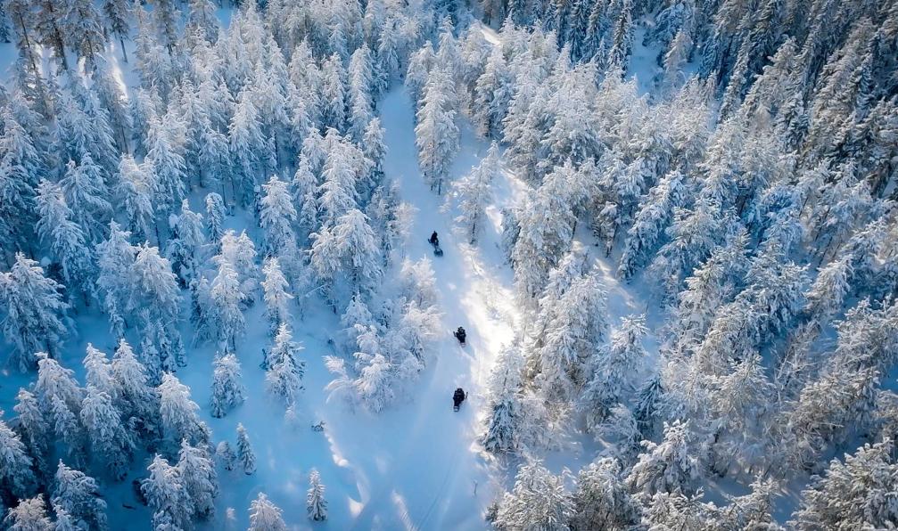 Doulat - Hervé - Motoneiges dans la forêt de Valkama, Finlande - Mon chalet en Laponie - 4