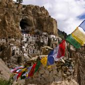 trekking ladakh