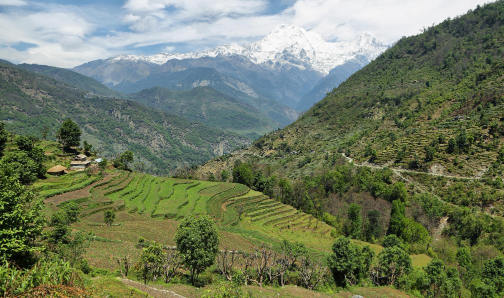 Marisa  -  Estivill -  Shutterstock -  Vue sur le vilage agricole de Tolka;Népal - Balcon des Annapurnas et Vallée de Katmandou - 1