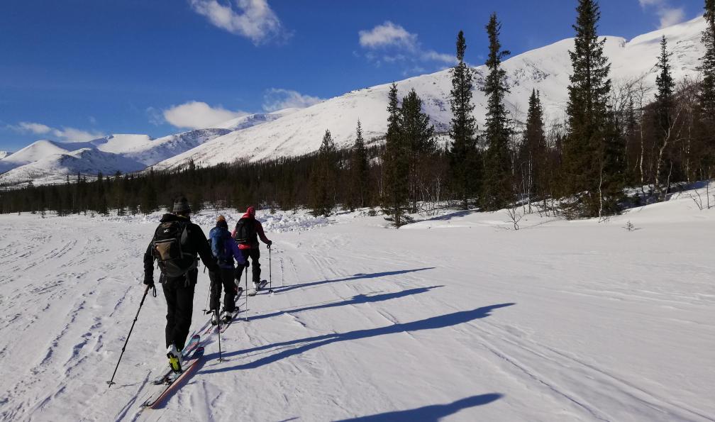 Ski de randonnée