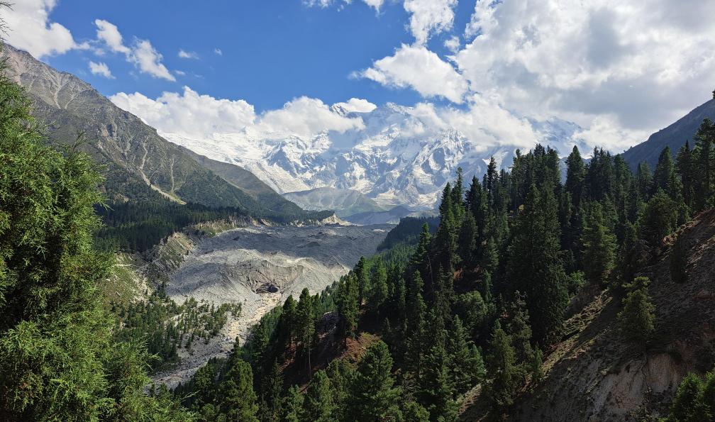 Gresland - Anne-Sophie - Glacier Raikot avec vallée et forêt, Pakistan - Le trek de Shimshal et la vallée de la Hunza - 7