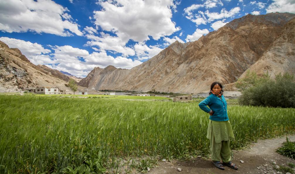 illpaxphotomatic  -  shutterstock -  Habitante du village de Markha, Ladakh, Inde - Petit Tibet: trek de la Markha - 6