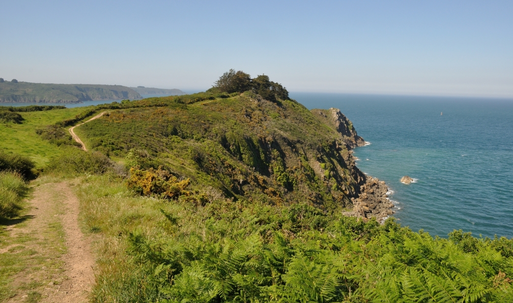 Heliosphile  -  Shutterstock -  Les falaises côtière de Plouha;France - De Saint-Brieuc à l'île de Bréhat - 5