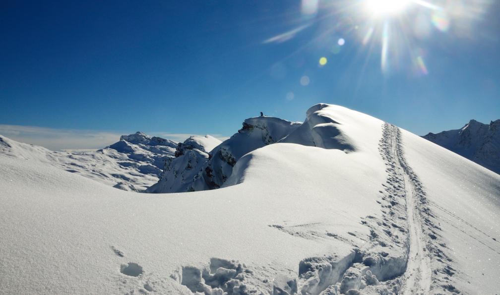 Visage -  R293 Trace de skieur le long de la crète;France - Le meilleur du Queyras à ski - 7