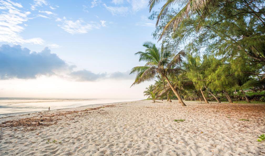 malajscy - Adobe Stock - Plage de sable blanc, Kenya - Safari kenyan et plages de sable blanc - 2