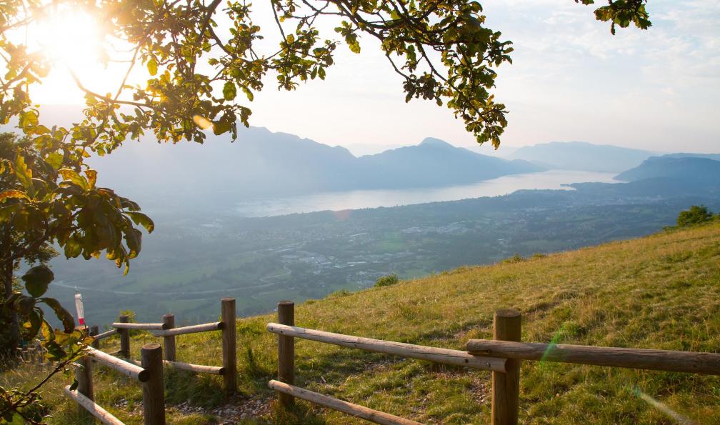 aurelien antoine -  Istock -  Vue sur le lac du Bourget depuis Verel-Pragondran  - Découverte du parc naturel des Bauges - 2