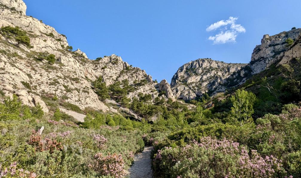 Lanau - Blandine - Plan des Cailles vers le Grand Malvallon, Calanques, France - Découverte des Calanques de Marseille et Cassis - 8