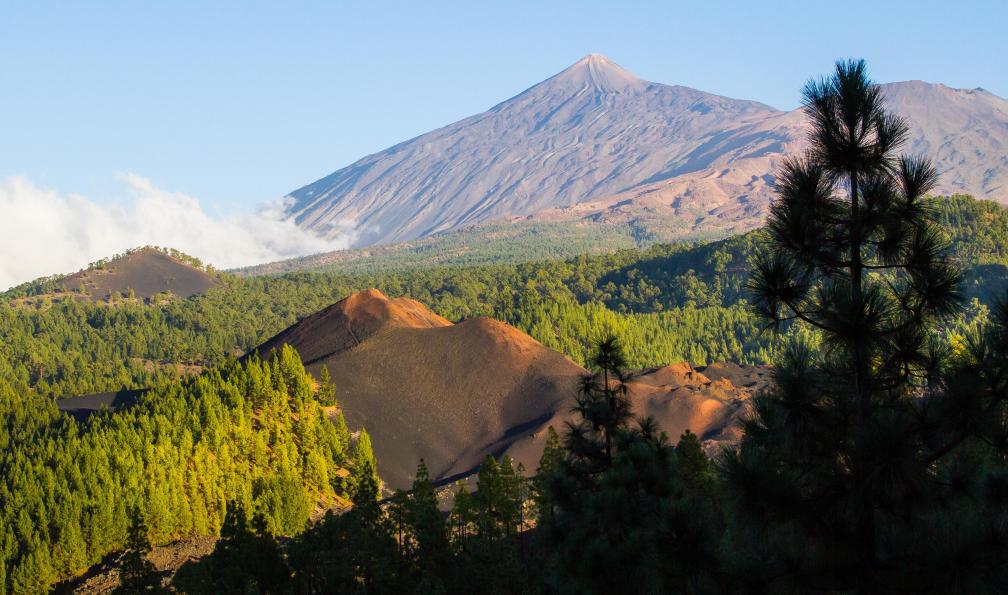 defender06 - Adobe Stock - Sentier Chinyero dans le parc du Teide, le plus haut volcan dEspagne, Tenerife - Tenerife, à l'assaut du Teide - 7