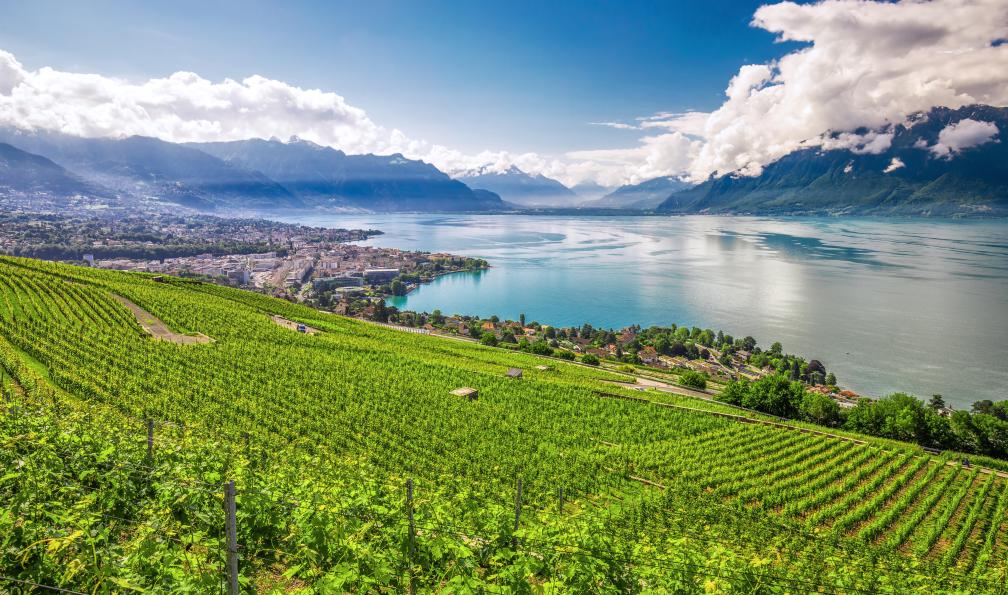Eva Bocek - Adobe Stock - Vignes et ville de Montreux, vue sur le lac Léman et les montagnes du Valais, Suisse - Le Léman, entre lac et montagne à vélo - 6