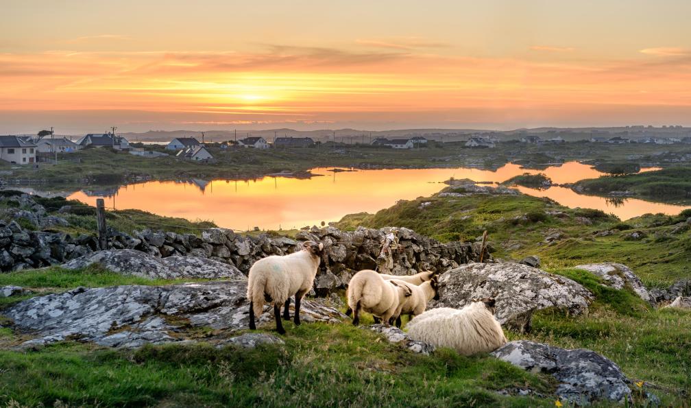 irlande-autotour-wild-atlantic-way