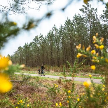 Voyage à vélo - Les Landes de Gascogne en famille à vélo