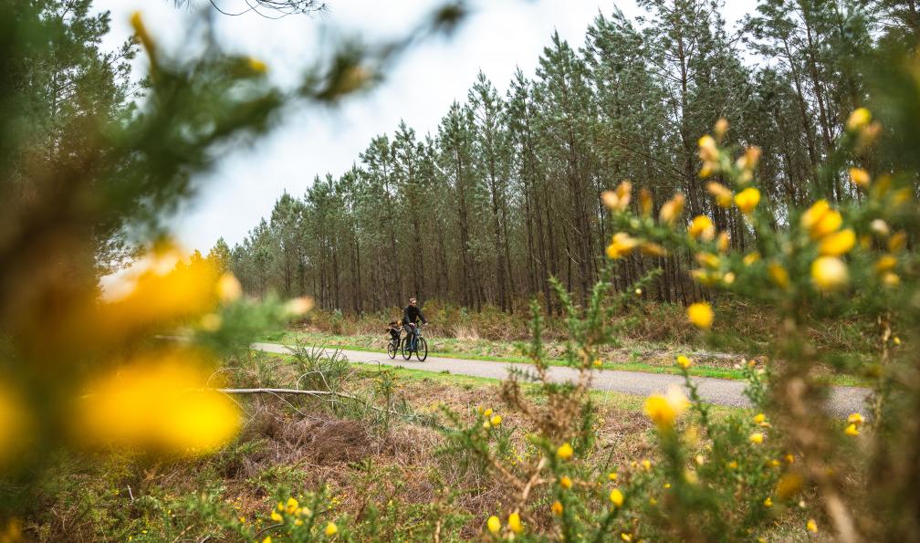 Les Landes de Gascogne en famille à vélo