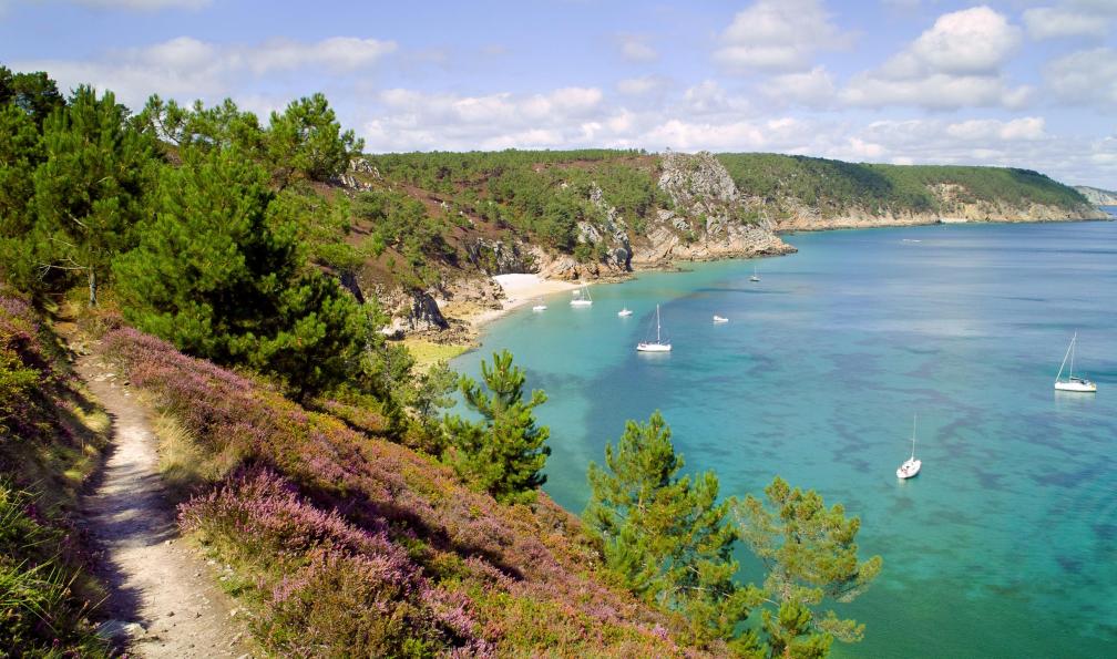 saintho -  istock -  Chemin littoral entre Crozon et Morgat, Bretagne, France - Le tour de la Bretagne, à la carte - 1