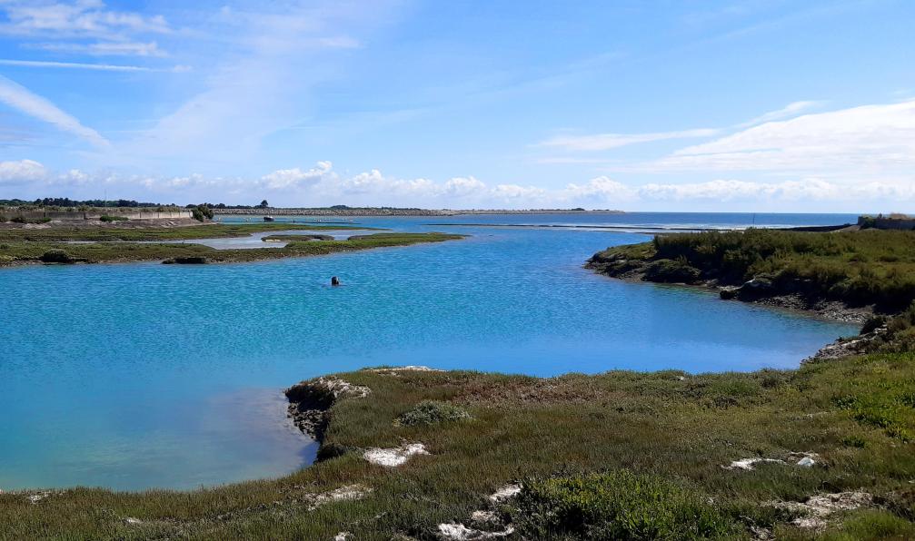Truffault - Magali - Les marais salans, Ile de Ré, France - La Vélodyssée à la carte - 11