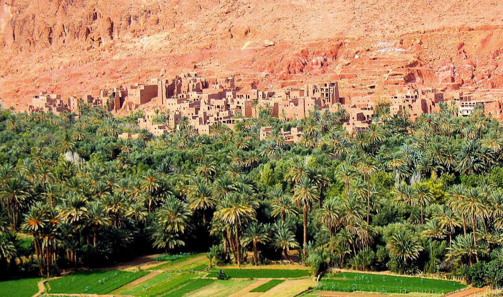 Une oasis et un village dans les gorges du M’Goun, Maroc. - Les roses du M'Goun - 3
