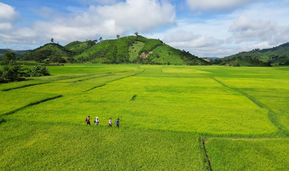 Crétois - Chloé - Randonneurs dans des rizières au Vietnam - Vietnam et Cambodge: les incontournables à vélo - 3