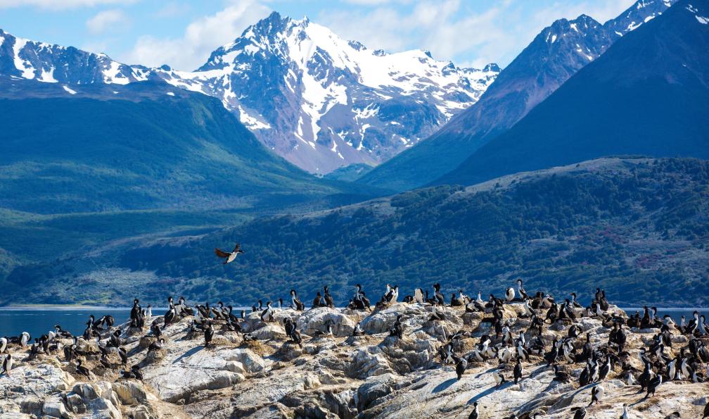 Jefferson Bernardes  -  Shutterstock -  Beagle Channel à Ushuaia, Argentine - Aventure ultime : du bout du monde au trek du "o" - 11