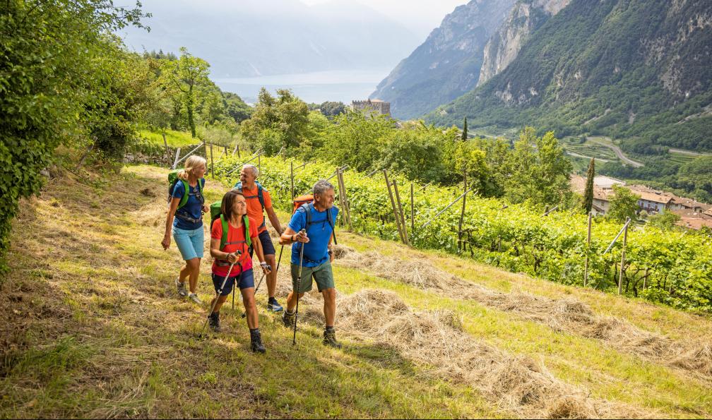 Eurohike - Randonneurs dans la campagne en Italie du Nord - Du Lac de Garde à Venise - 4