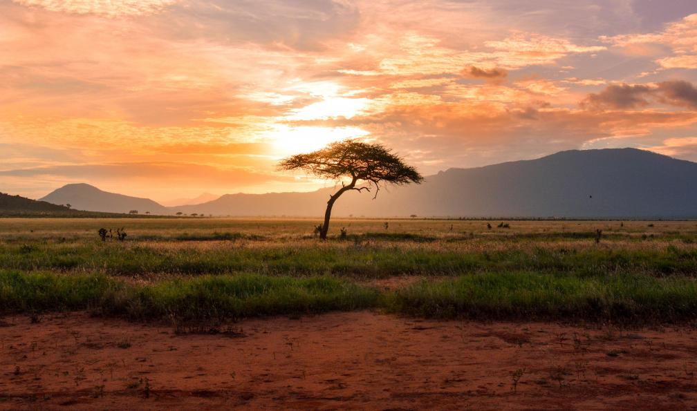 Patkowski - Damian - Unsplash - Paysage de Tsavo au coucher du soleil, Kenya - Safari kenyan et plages de sable blanc - 4
