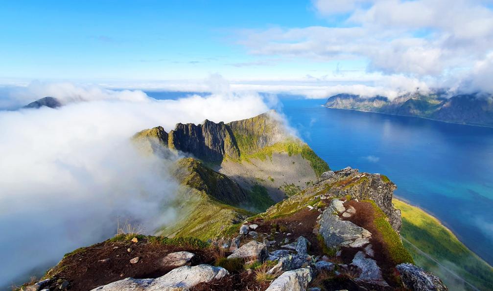 Garioud - Nadège - Vue du sommet de Husfjellet, Ile de Senja, Norvège - Archipels du Nord : Lofoten, Vesterålen et Senja - 5