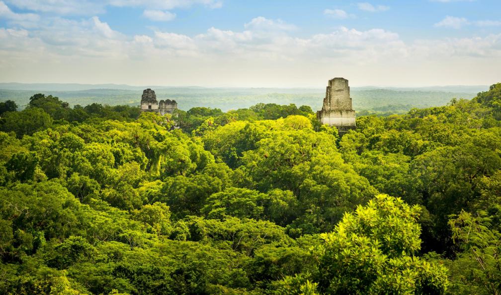 THPStock -  istock -  Parc national du Tikal, Guatemala - Guate...Maya ! - 12