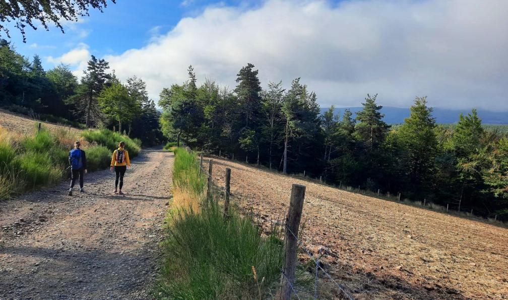 Truffault - Magali - Randonneuses sur le chemin de Stevenson, étape Chasseradès-Le Bleymard, Stevenson sud, France - Chemin de Stevenson sud : du Gévaudan aux Cévennes - 7