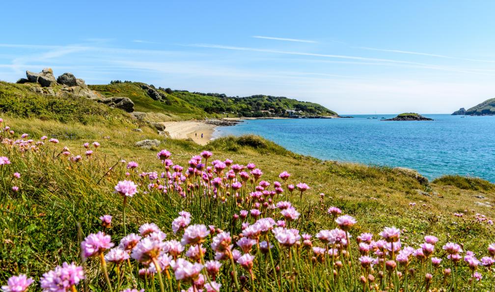 Elke Kohler  -  shutterstock -  Côte littorale de l'île d'Herm, Angleterre - Les îles Anglo-Normandes - 2