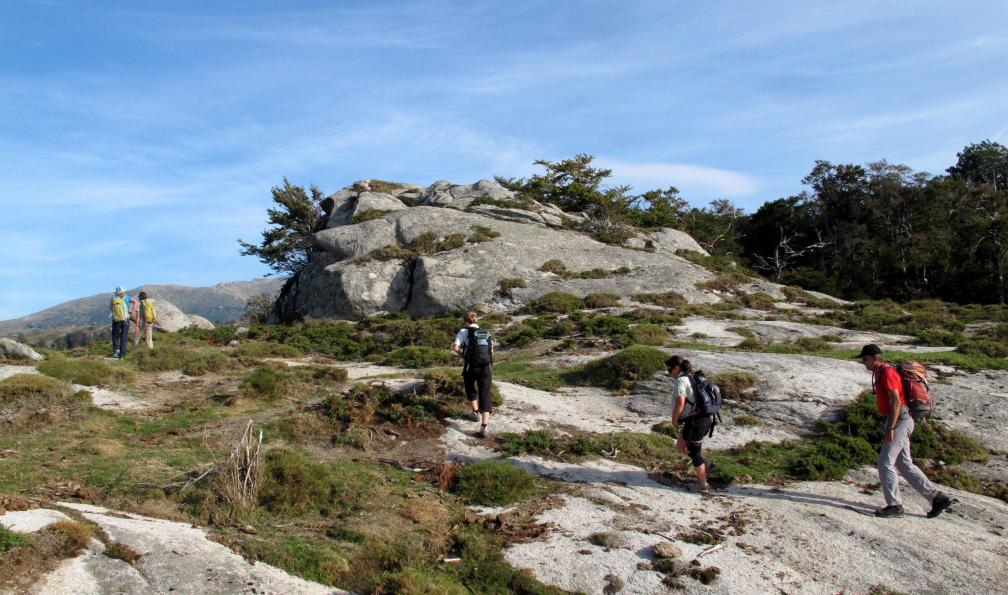 Plateau de Cuscionu, Corse. - Le GR20 Sud, de Vizzavona à Conca - 4