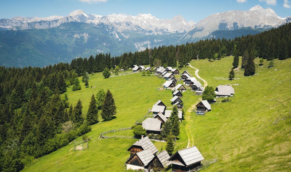 borchee -  Istock -  Plateau de Pokljuka, dans le Parc National de Triglav;Slovénie - Lacs et montagnes de Slovénie  - 6