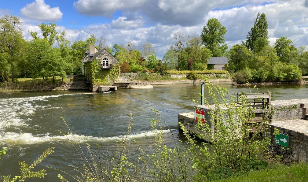 Simonin - Marc - Regard sur le moulin de Mitray de l'autre côté du cher, Loire, France - L'essentiel des châteaux de la Loire à vélo - 10