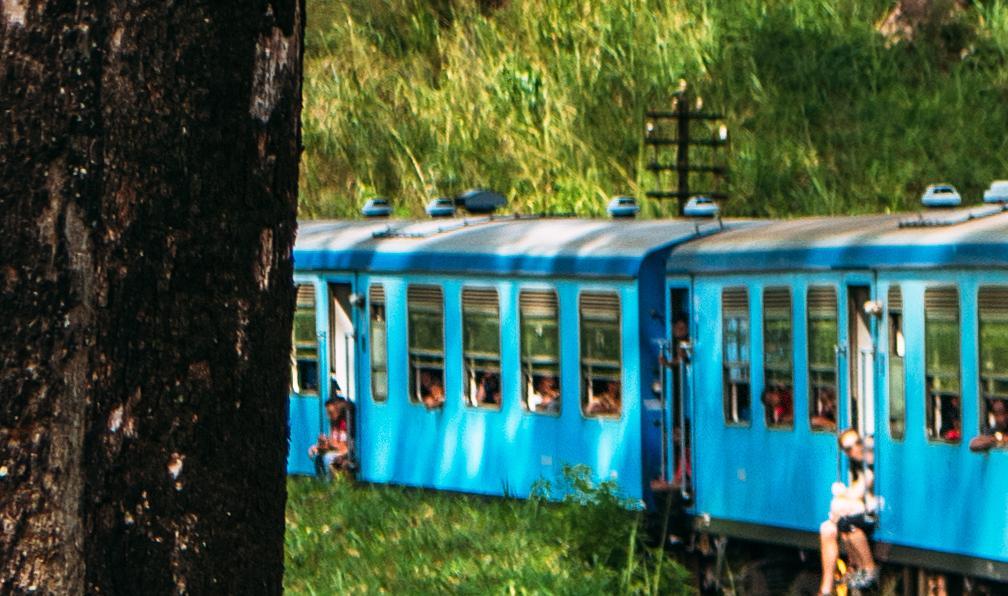 MISHA - Adobe Stock - Les trains lents et conviviaux permettant de profiter du paysage au Sri Lanka. - Chemins d'été au Sri Lanka - 7