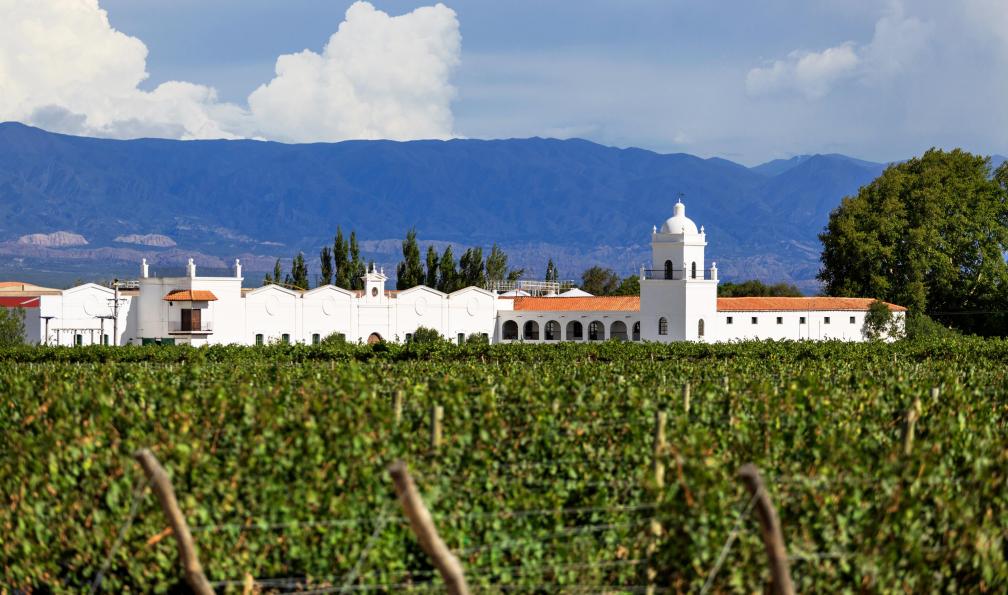 sunsinger  -  shutterstock -  Vignobles de Cafayate, Argentine - L'Argentine aux mille couleurs - 11
