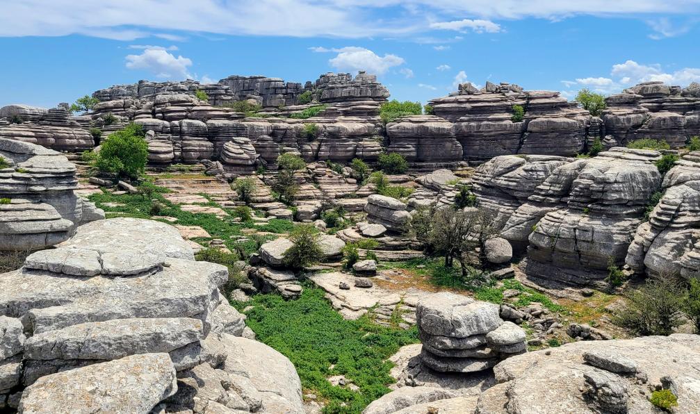 Pellequier - Lucie - El Torcal de Antequerra, Andalousie, Espagne - L'essentiel de l'Andalousie - 4
