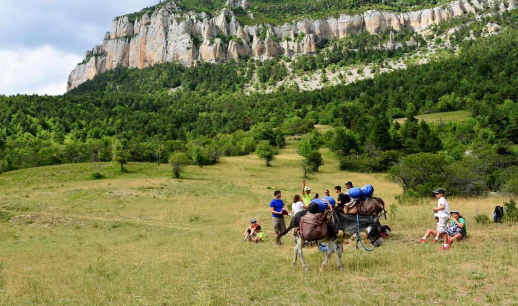 Voyage avec ânes - Mon premier trek dans le Vercors avec un âne