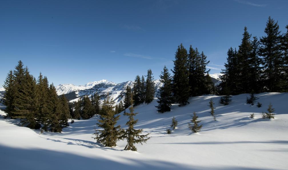 Brandelet  -  Shutterstock -  Montagnes enneigées, Areches, Savoie;France - Raquette confort au coeur du Beaufortain - 3