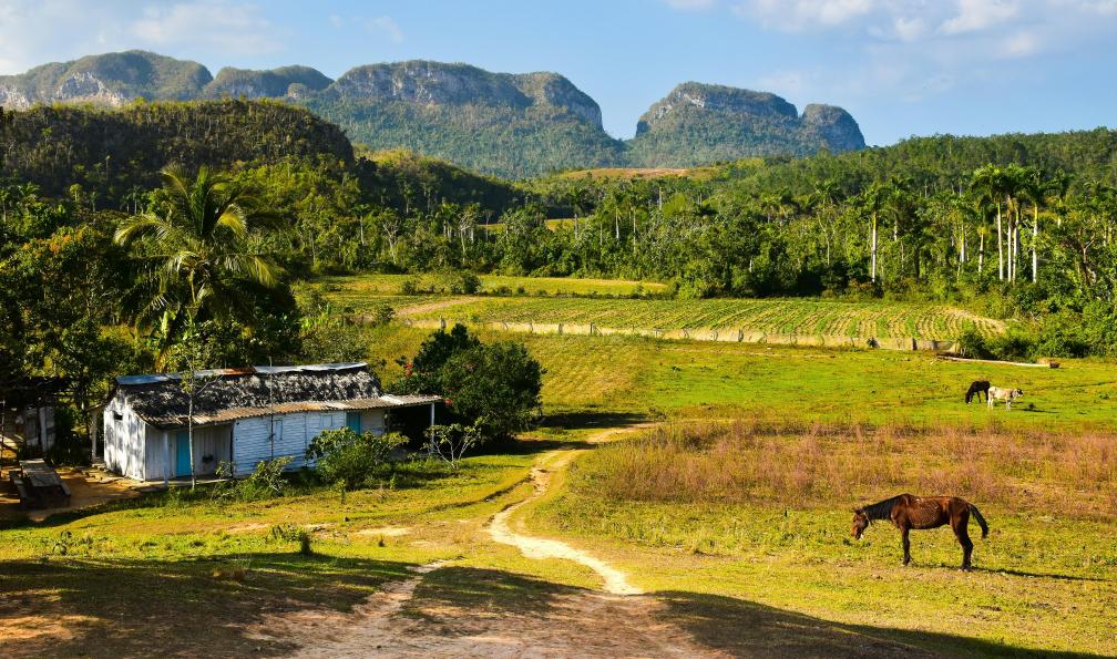 axp-photography - Unsplash - Petite ferme de la vallée de Vinales, les mogotes en fond, Cuba - Randonnées et merveilles cubaines - 3