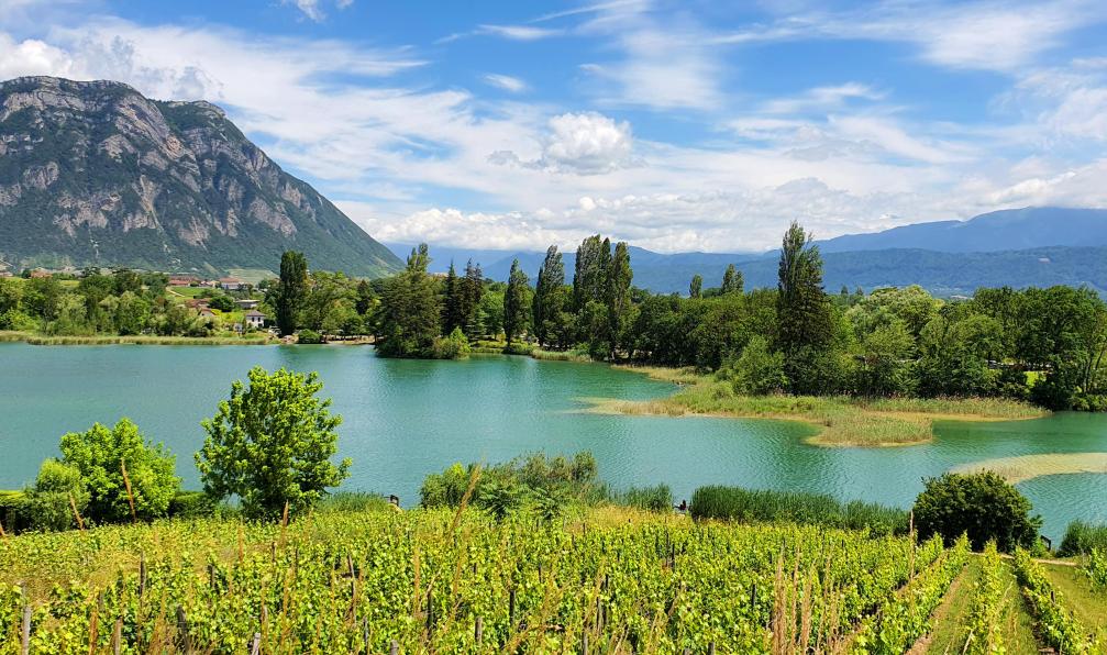 Garioud - Nadège - Le lac Saint André au milieu des vignes, sur fond de montagnes, Alpes, France - Du lac d'Annecy au lac du Bourget à vélo - 5