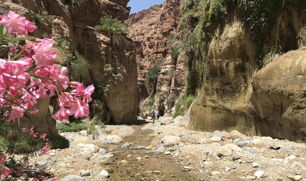 Brean -  Alexandre -  Groupe de randonneur dans un canyon à wadi Numeira;Jordanie - Trek Bédouin: grand rift, cité rose et wadi rum - 4