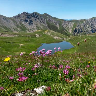  - Découverte du Queyras